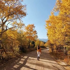 Meet your Posher, Nelly